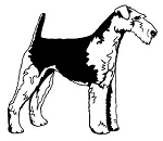 Welsh Terrier Decal Sticker